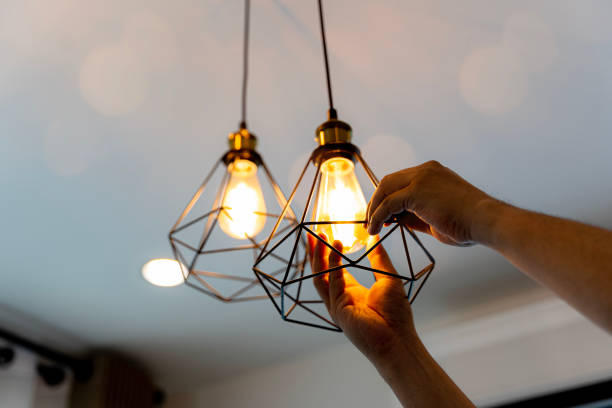 Best Best Electricians Near Me  in Douglas, MI