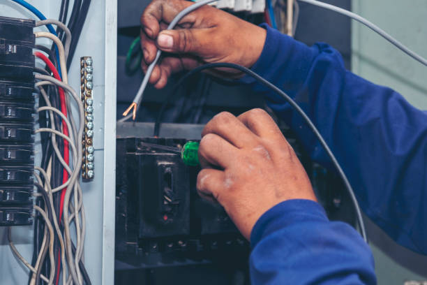 Best Residential Electrician Services  in Douglas, MI