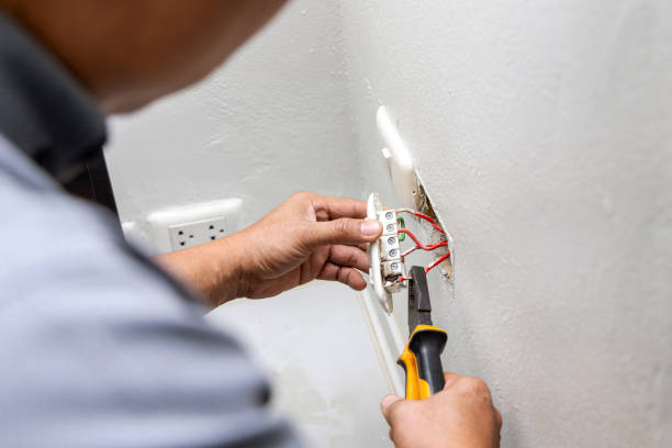 Best Electrical Troubleshooting Services  in Douglas, MI