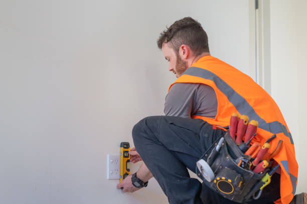 Best Electric Panel Repair  in Douglas, MI