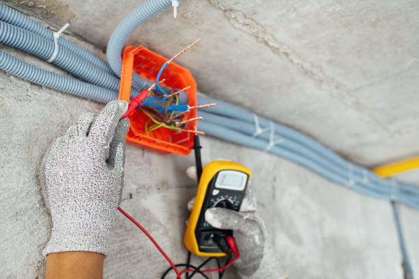 Best Electrical Troubleshooting Services  in Douglas, MI